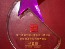 董秘徐亞麗女士榮獲“第十二屆中國(guó)創(chuàng)業(yè)板上市公司優(yōu)秀董秘獎(jiǎng)”